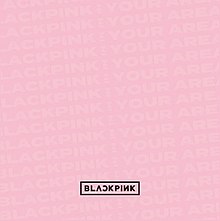 Blackpink in your area dịch tiếng Việt là gì